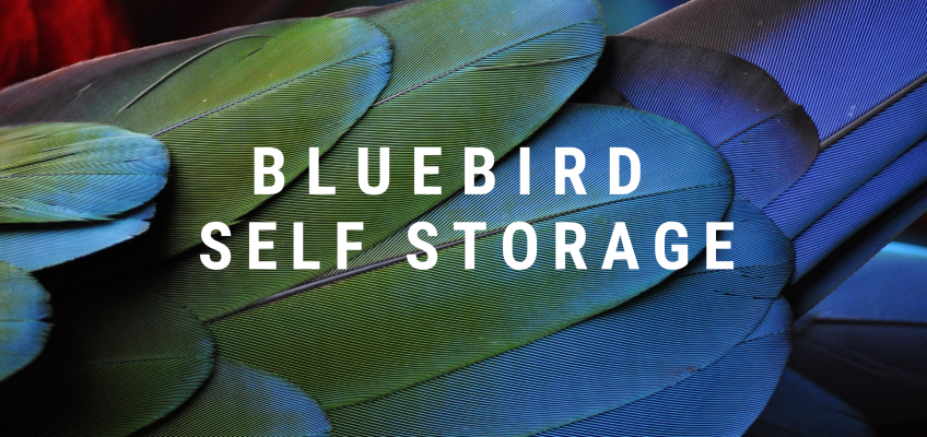 Bluebird Self Storage – Investor Update
